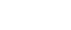 RenergyXpert GmbH RenergyXpert GmbH